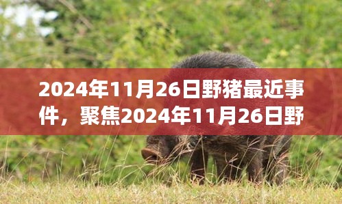 第1874页