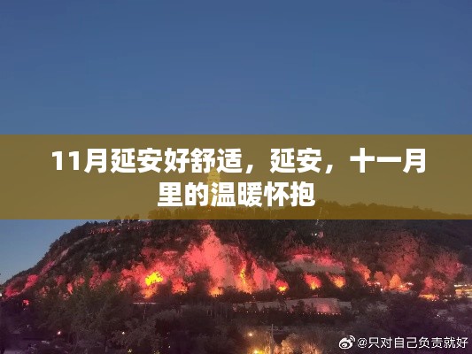 第1838页