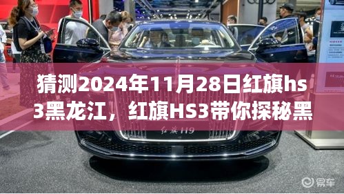 在线留言 第251页