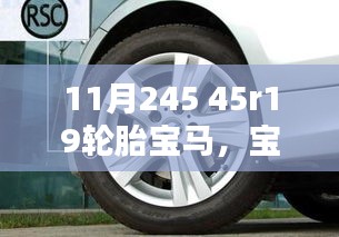 在线留言 第246页