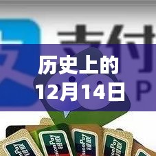 运输网络 第178页