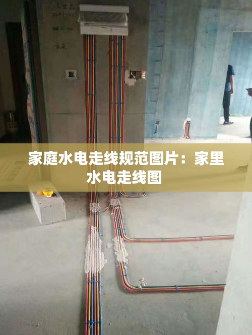 公司简介 第110页