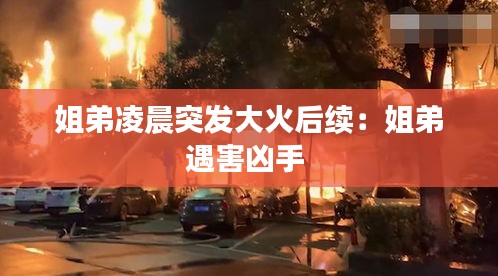 明夷于飞 第2页