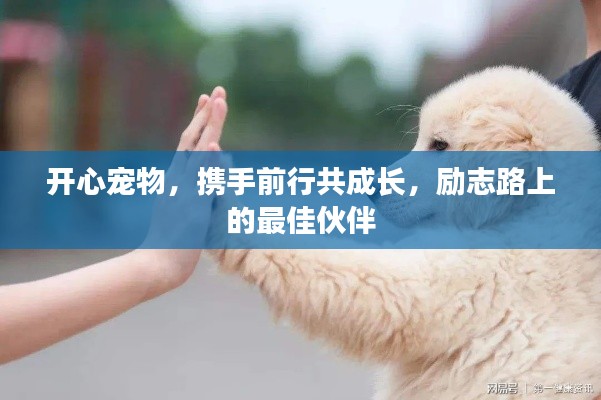 运输网络 第11页