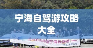 在线留言 第11页