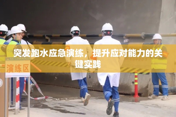 2025年5月3日 第3页