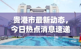 在线留言 第5页