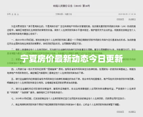 毛手毛脚