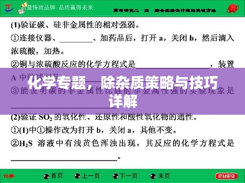 2025年5月 第4页