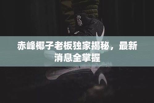 行疾如飞 第3页