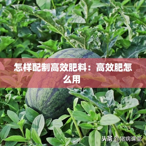 天生万物，唯人为贵 第2页