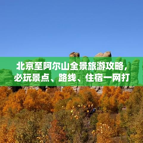 大事夸张 第2页