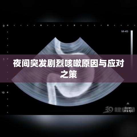 志在四方 第2页