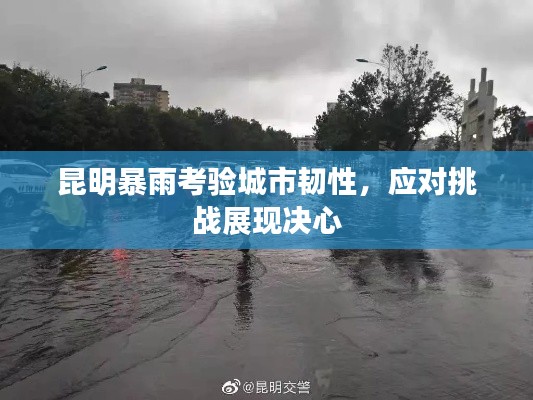 容光焕发 第2页