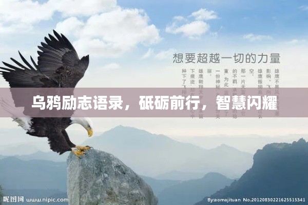 矫枉过正