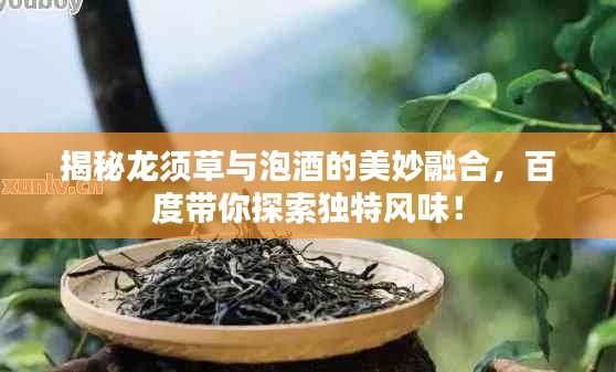 2025年6月 第47页