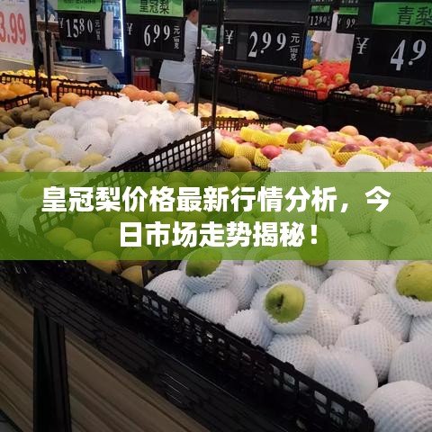 2025年6月 第45页