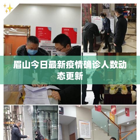 2025年6月 第43页