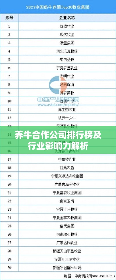 一枝独秀