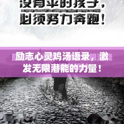 2025年6月 第37页