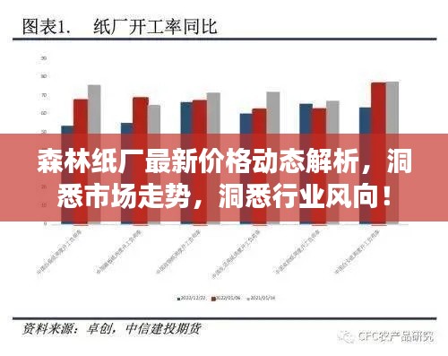公司简介 第15页
