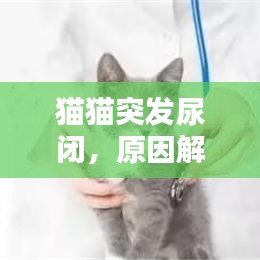 千里迢迢
