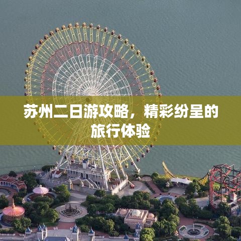 2025年6月 第11页